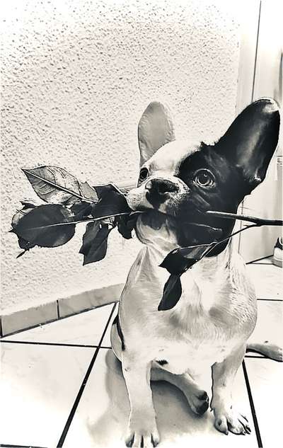 Foto-Challenge 76: Foto in Schwarz-Weiss-Beitrag-Bild