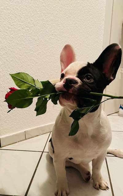 Erstes Bild-Beitrag-Bild