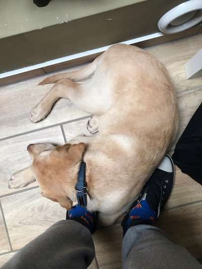 Challenge Nr 14
Eure Fellnasen auf ihrem Lieblingsplatz-Beitrag-Bild