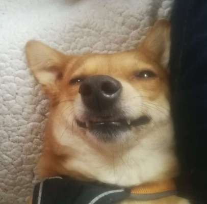 Fotochallange Nr.53 "HALLOWEEN"-Beitrag-Bild