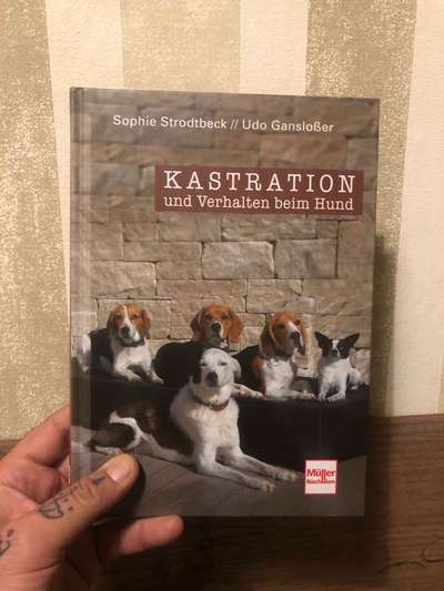 Hunde-Fachliteratur-Beitrag-Bild