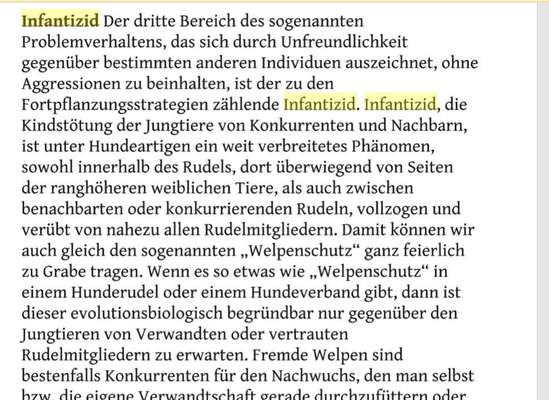 Welpenalergie ?-Beitrag-Bild