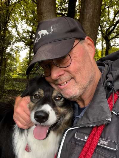 Hundetreffen-Verhalten an der Leine bei Begegnungen-Bild