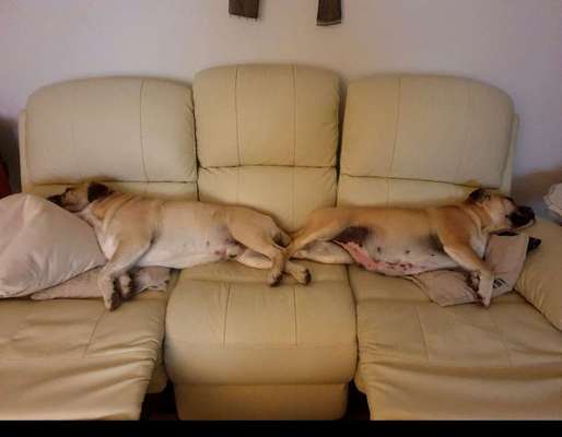 Fotochallenge 88-Beitrag-Bild