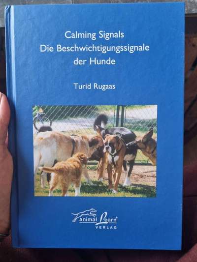 Hunde Verhalten-Beitrag-Bild