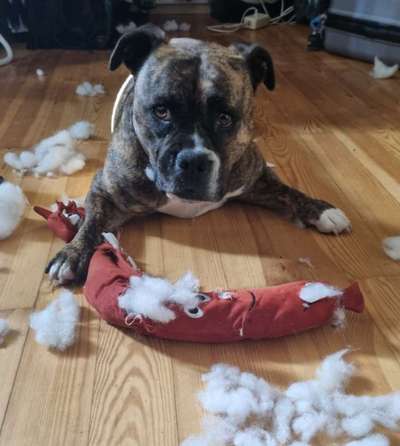 Moviestar-Pics!-Beitrag-Bild