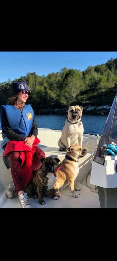 Fotochallenge 101:
On Tour-Beitrag-Bild