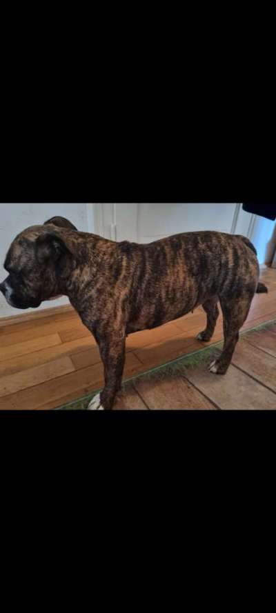 Der Gewichts-Thread-Beitrag-Bild