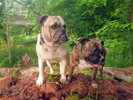 OEB Besitzer gesucht 😊-Beitrag-Bild