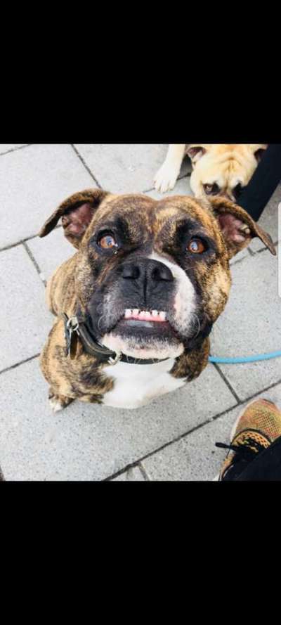 Handy-Foto Challange Nr. 10-Beitrag-Bild