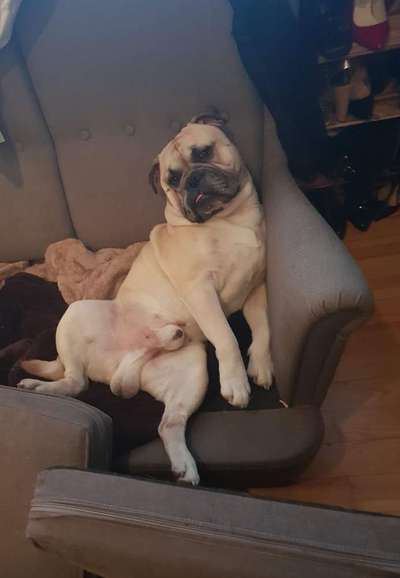 Fotochallenge Nr.65-Beitrag-Bild