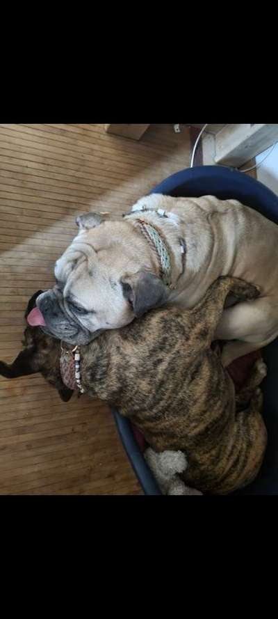 Die unbequemsten und lustigsten Schlafpositionen-Beitrag-Bild