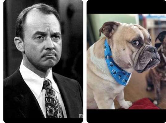 Nicht ganz alltägliche Hundenamen.
Wie kreativ wart ihr?-Beitrag-Bild