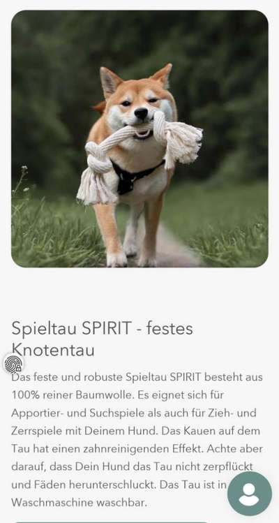 Zähneputzen-Beitrag-Bild