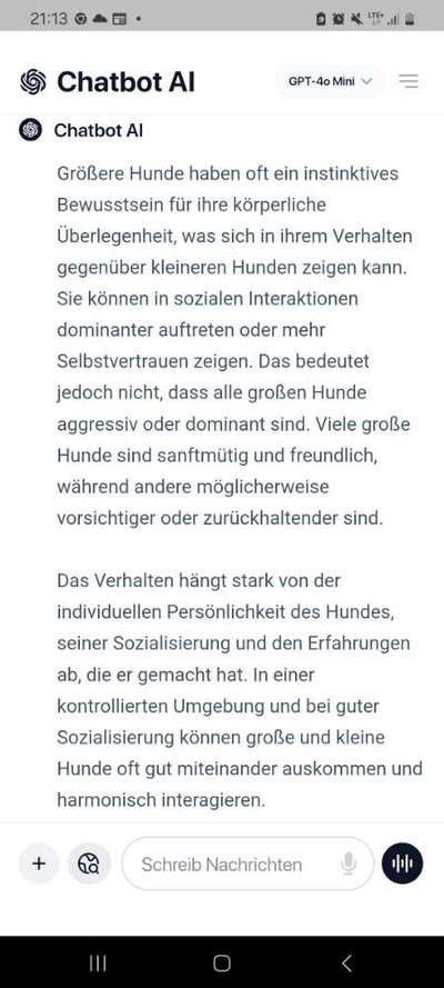 Zwerghunde und die "bösen Grossen"-Beitrag-Bild