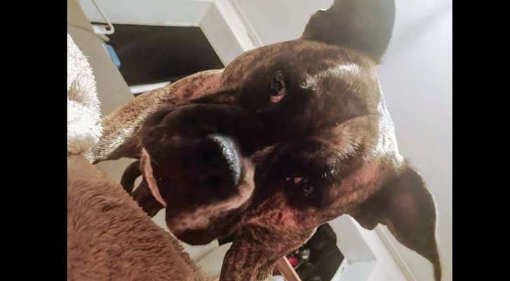 23. Handy Foto-Challenge-Beitrag-Bild