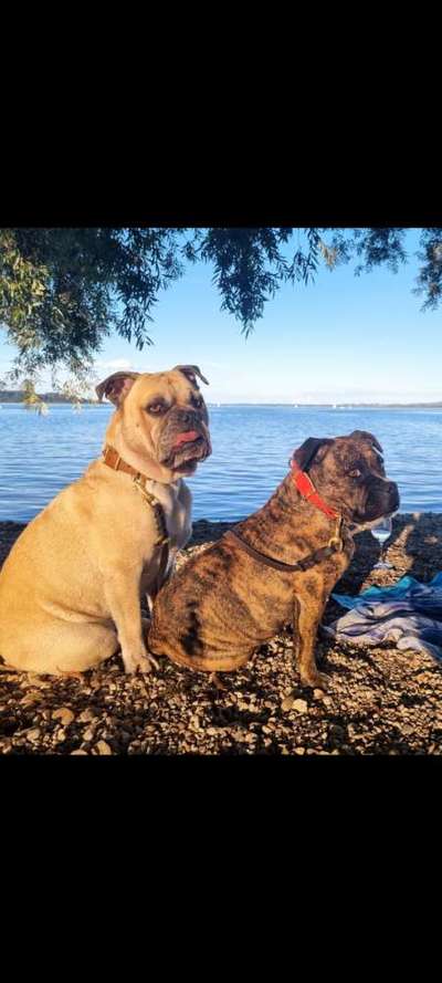 Ist das ein...?-Beitrag-Bild