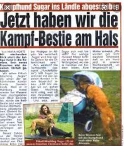 HUNDEANGRIFF-Beitrag-Bild