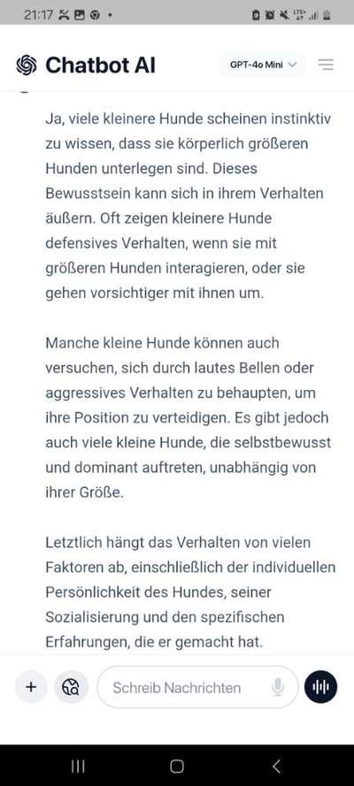 Zwerghunde und die "bösen Grossen"-Beitrag-Bild