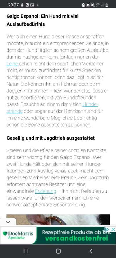 Hunde früher und heute-Beitrag-Bild