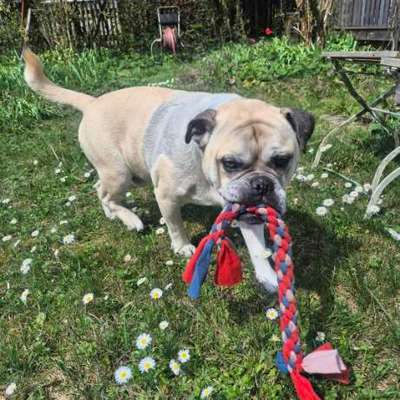 Was hat euch heute gefreut?-Beitrag-Bild