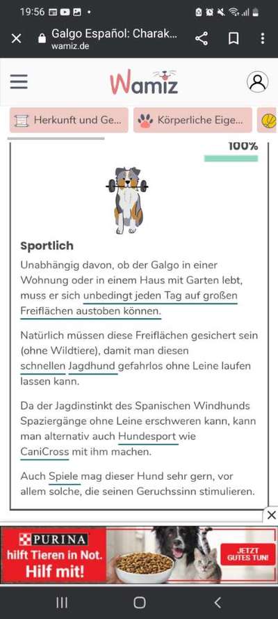 Hunde früher und heute-Beitrag-Bild