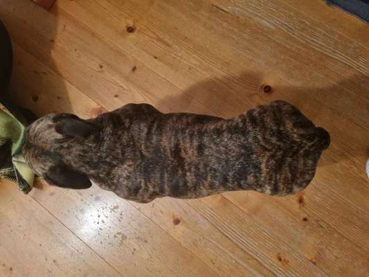 Der Gewichts-Thread-Beitrag-Bild