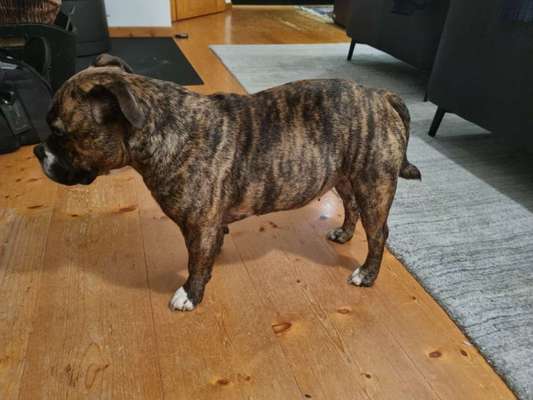 Der Gewichts-Thread-Beitrag-Bild