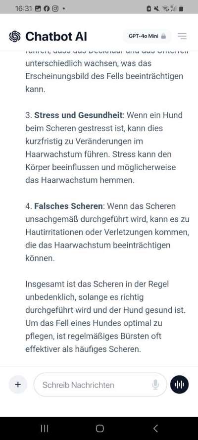 Mein Pomeranian ist komplett Lockig-Beitrag-Bild