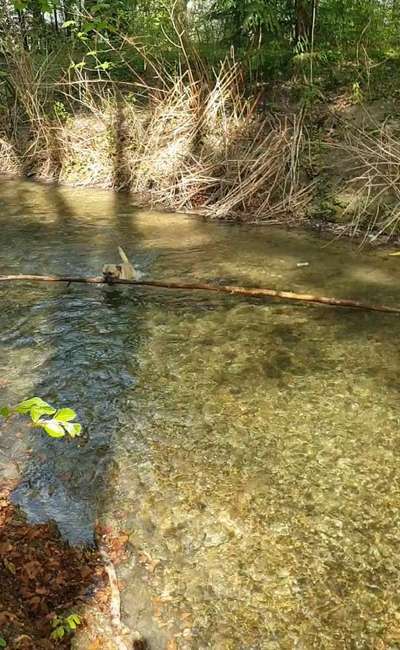 Knüppel aus dem Wald Foto Wettbewerb-Beitrag-Bild