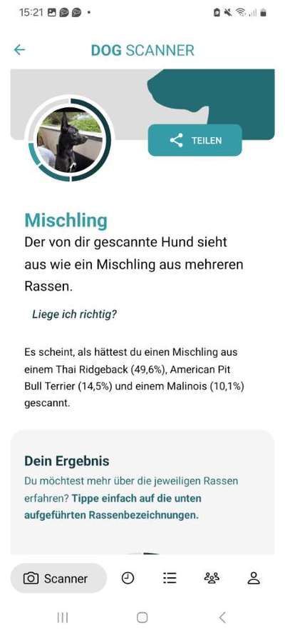 Welche Rasse?-Beitrag-Bild