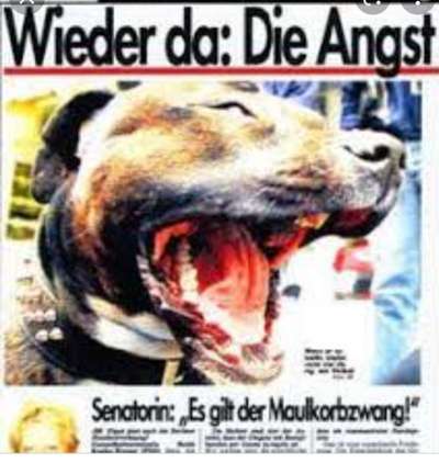 HUNDEANGRIFF-Beitrag-Bild