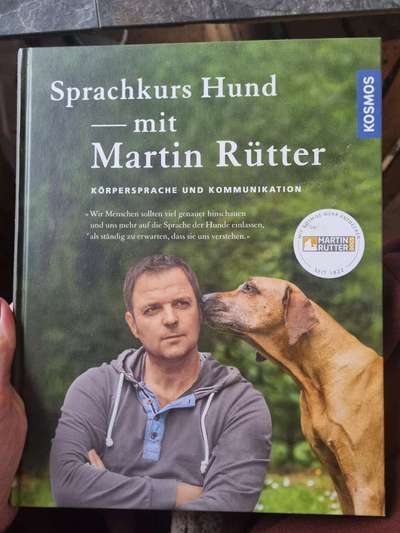 Hunde Verhalten-Beitrag-Bild