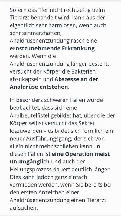 Beule am Poloch-Beitrag-Bild