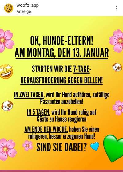 Was hat euch heute genervt?-Beitrag-Bild