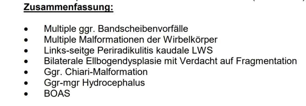 Gangbild/-analyse-Beitrag-Bild