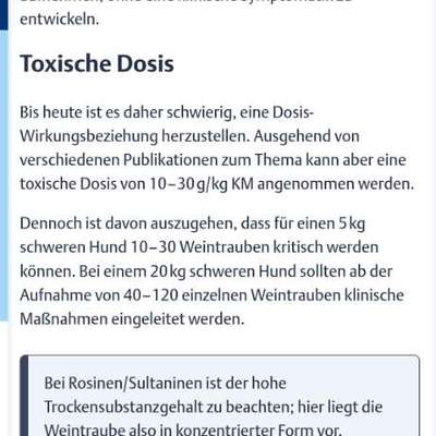 Weintraube gefressen. Was tun?-Beitrag-Bild