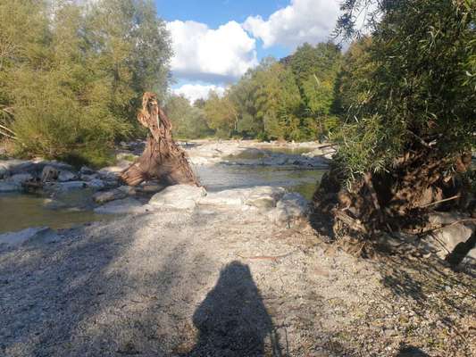 Dogorama Photo Challenge - Tarnung ist alles-Beitrag-Bild