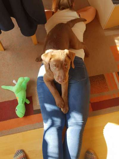 Challenge 30  Freundschaft-Beitrag-Bild