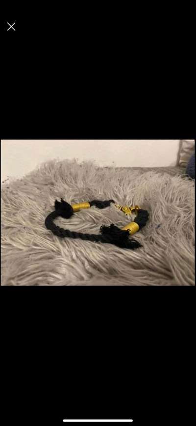 Verschiedene Halsbänder-Beitrag-Bild