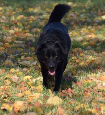 Fotochallange Nr. 57     PORTRÄT.   Beendet!!!!!!!!-Beitrag-Bild