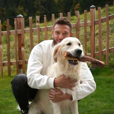 Hundetreffen-Gassi & Spielpartner gesucht-Bild