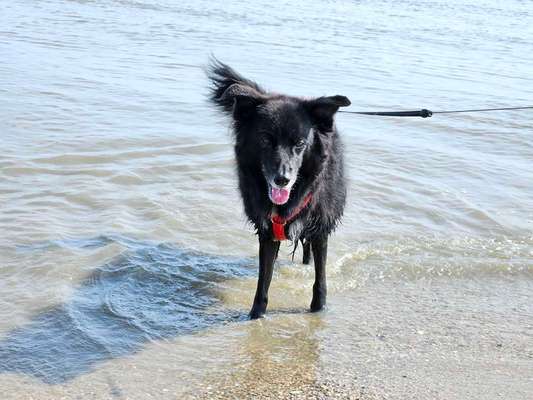 Dogorama Photo Challenge - Urlaubsziele-Beitrag-Bild