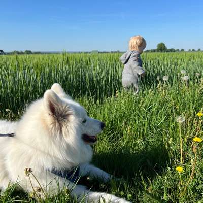 Hundetreffen-Hundespielen gerne auch mit Kind:)-Bild