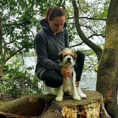 Hundetreffen-Sonntagsausflug Bruchertalsperre