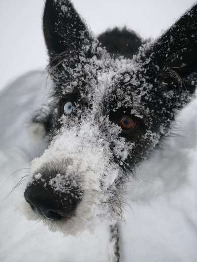 Euer schönster Moment des Jahres auf einem Bild!-Beitrag-Bild