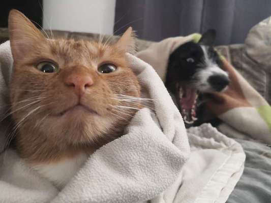 CHALLENGE Nr.17-Beitrag-Bild