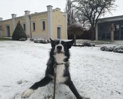 Challenge Nr. 15
Spiel im Schnee-Beitrag-Bild