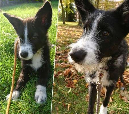 Vorher.... Nachher-Beitrag-Bild