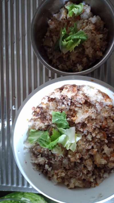 Zeigt her Eure Futternäpfe-Beitrag-Bild